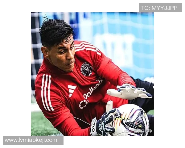 足球明星的魅力与风采如何在绿茵场上绽放出无与伦比的美感